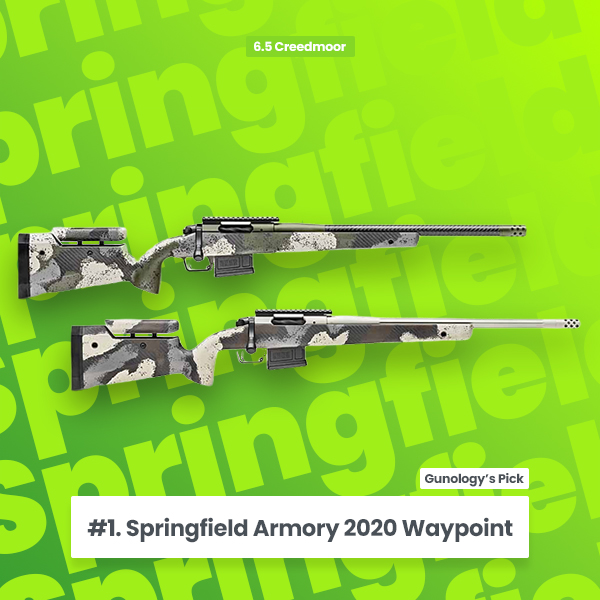 Springfield Armory 2020 Waypoint